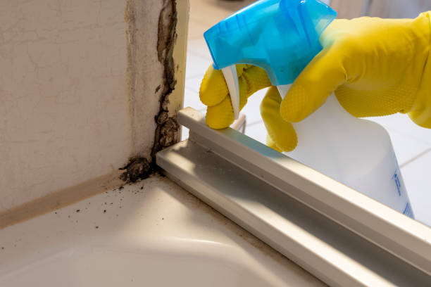 Best Industrial Mold Remediation in Kingsburg, CA