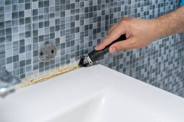 Best Localized Mold Remediation (e.g., coastal areas, humid climates) in Kingsburg, CA