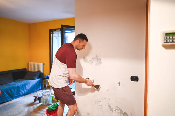 Best Commercial Mold Remediation in Kingsburg, CA